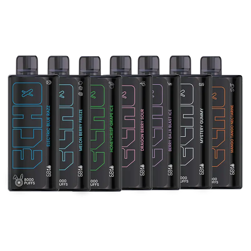 Echo 8K Disposable Vape – 8,000 Puff Flavor Lineup